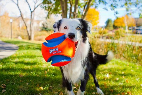 CHUCKIT KICK FETCH BALL