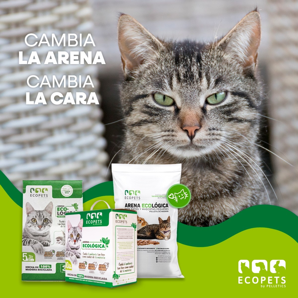 ARENA ECOLOGICA ECOPETS PARA MASCOTAS