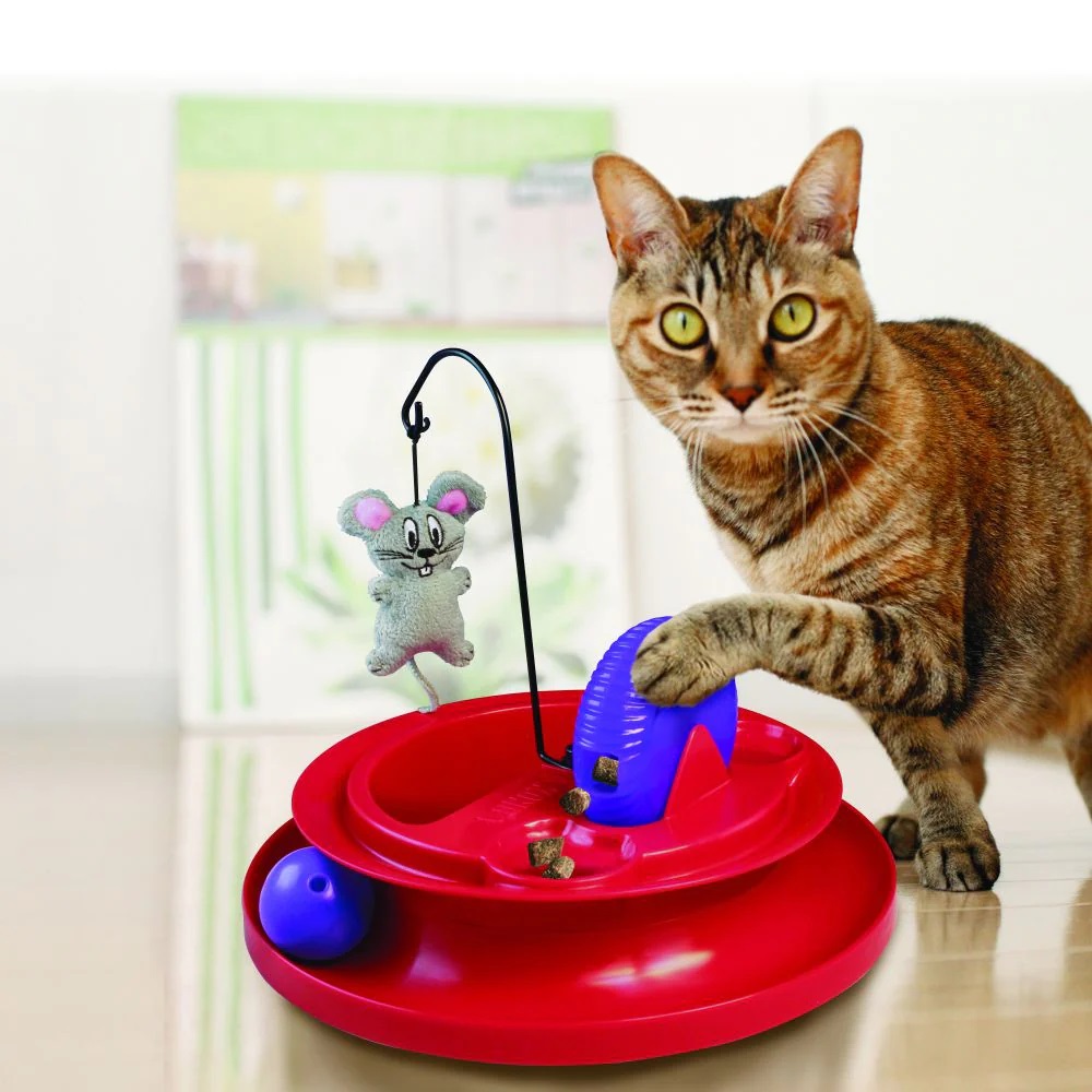 KONG CAT PLAYGROUNG