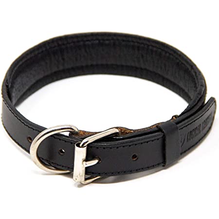 COLLAR PARA PERRO DE CUERO NEGRO Y PIEL