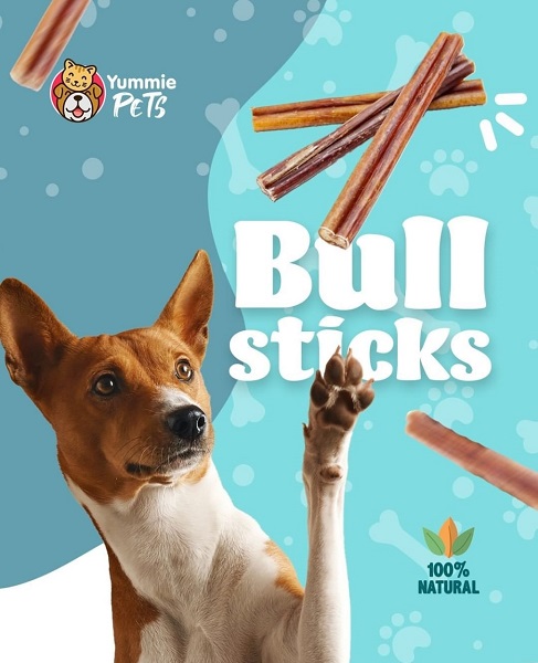 YUMMIE PETS BULLSTICKS UNIDAD