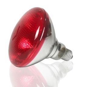 CRIADORA PARA POLLO INFRARROJA DE LUZ CON FOCO