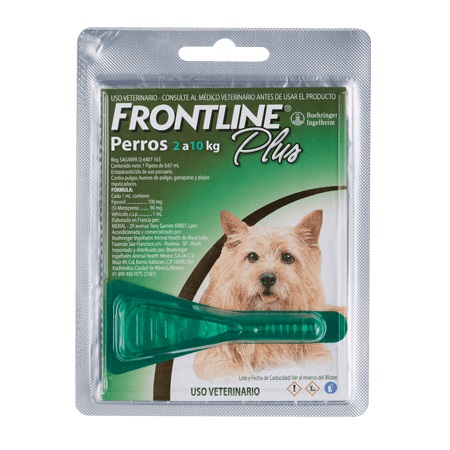 FRONTLINE PLUS 1 PIPETA