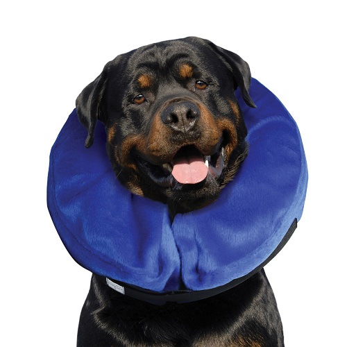 KONG E-COLLAR CLOUD (COLLAR ISABELINO INFLABLE)