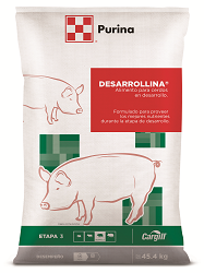 DESARROLLINA CHK NUEVO PRECIO MEJORADO