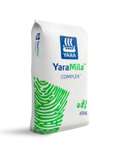 COMPLEX YARA QUINTAL