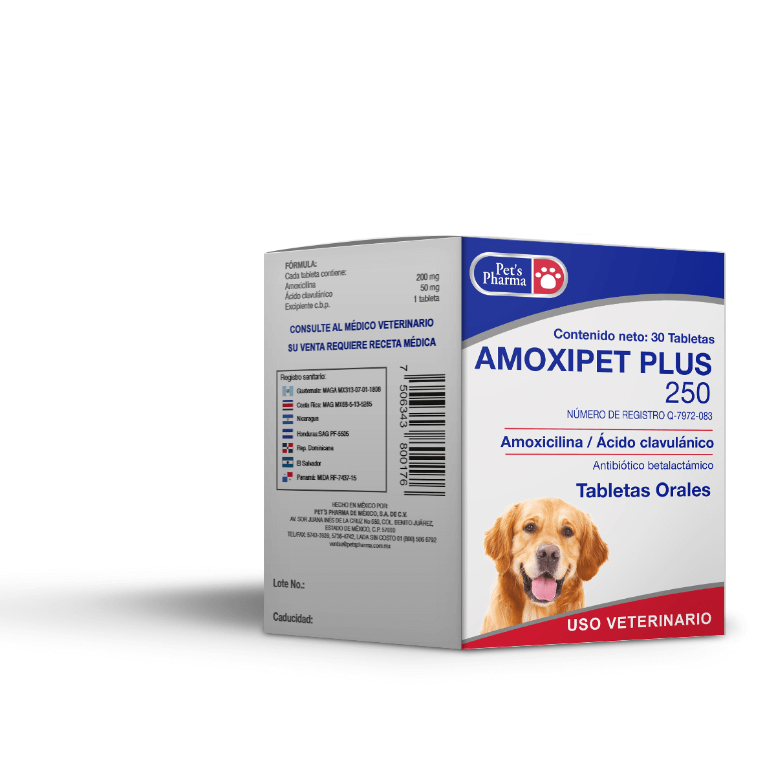 AMOXIPET PLUS 250 MG 1 TABLETA