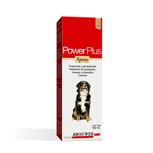 POWER PLUS SPRAY 100 ML