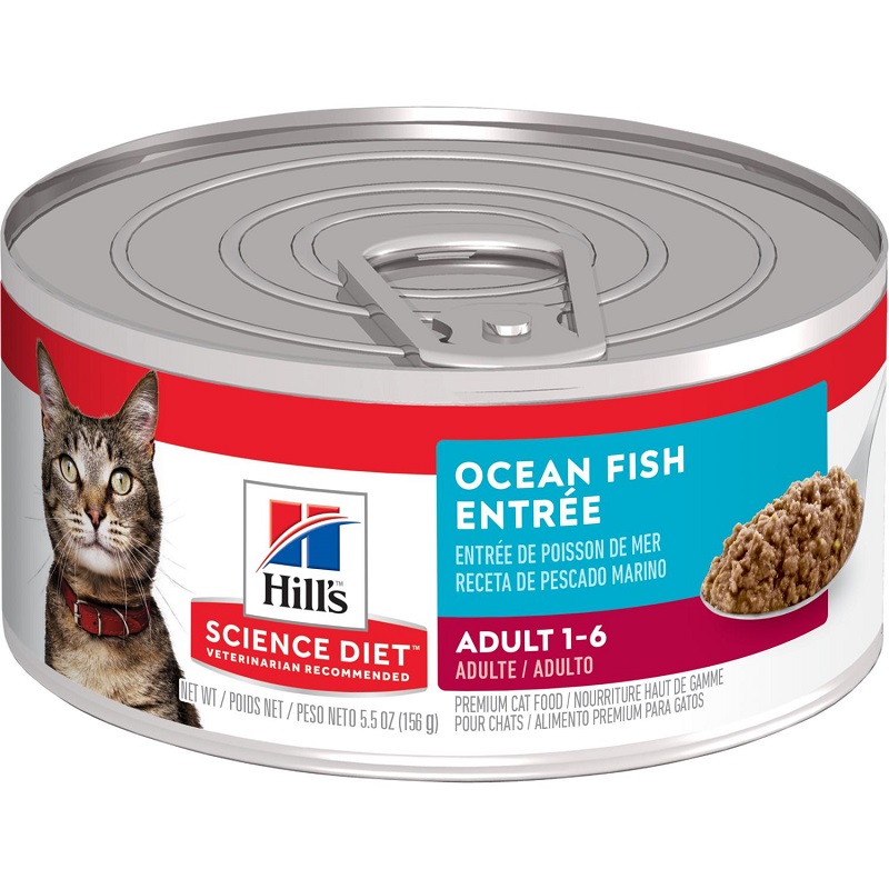 SCIENCE DIET ADULT OCEAN FISH LATA 5.5 ONZ