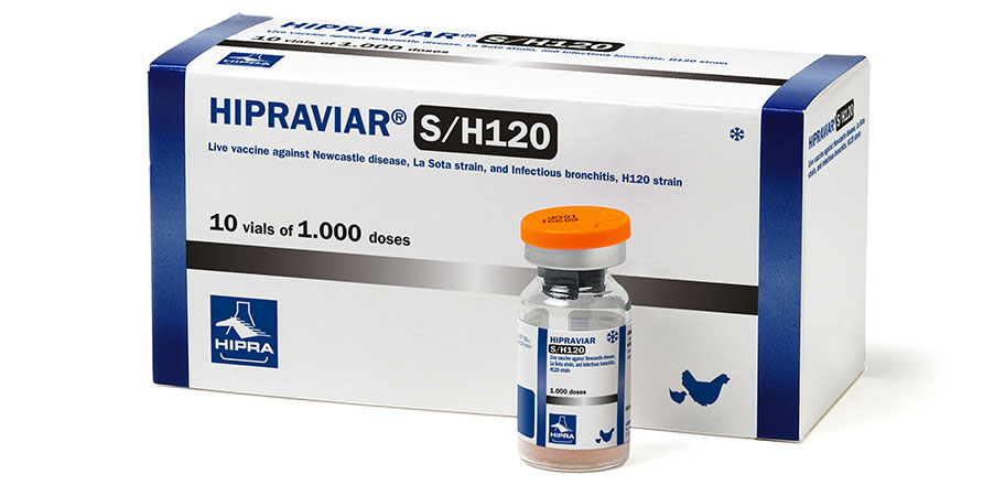 VACUNA DOBLE AVIAR (NEW CASTLE &amp; BRONQUITIS) S/H120 1000 DOSIS (HIPRA)