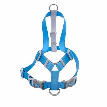 HARNESS AJUSTABLE AQUA