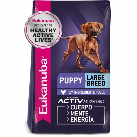 EUKANUBA PUPPY LARGE BREED