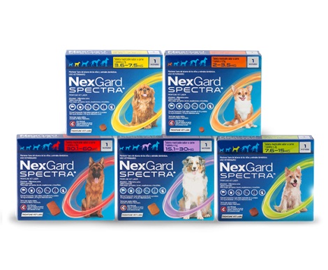 NEXGARD SPECTRA 1 TABLETA