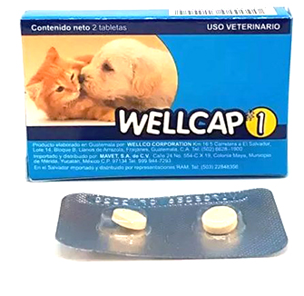 WELLCAP