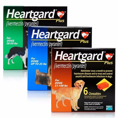 HEARTGARD PLUS 1 TABLETA