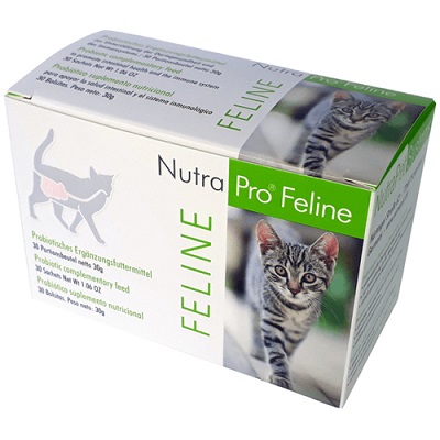NUTRA PRO GATO