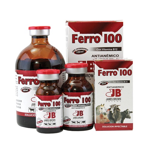 FERRO 100