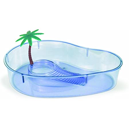 TORTUGUERA RIÑON PEQUEÑA
