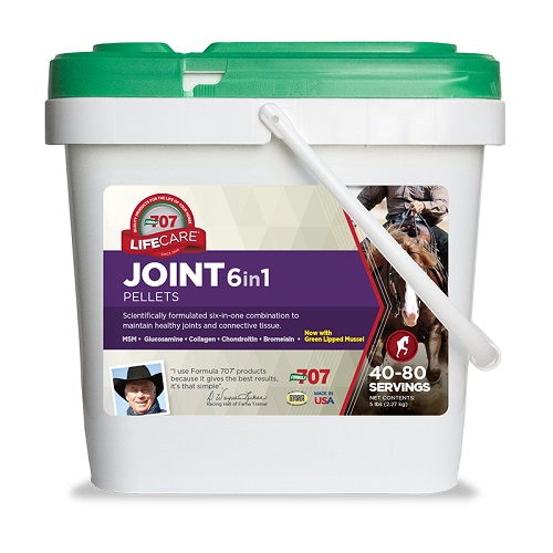 FORMULA 707 JOINT 6 IN 1 DE 40 A 80 PORCIONES