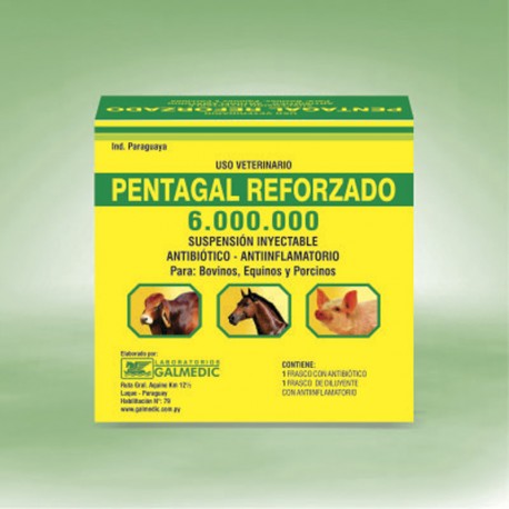 PENTAGAL 6,000,000