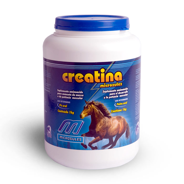 CREATINA MICROSULES 500G