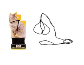 ARNES DE GATO