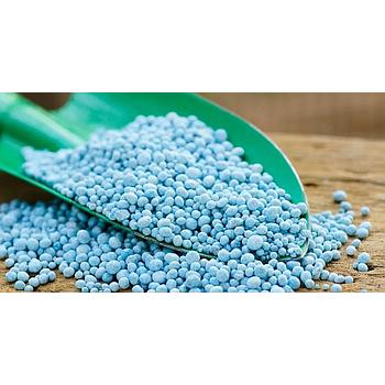 BLAUKORN LIBRA