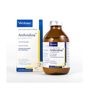 ARTHRIDINE FENILBUTASONA 100 ML