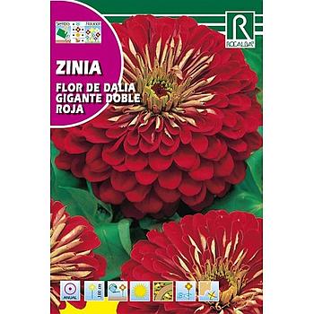 SEMILLA ZINIA