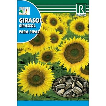 SEMILLAS GIRASOL PARA PIPAS