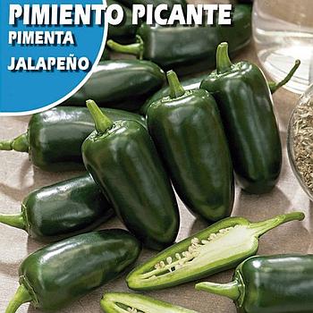 SEMILLA PIMIENTO PICANTE JALAPEÑO