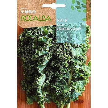 SEMILLA KALE DWARF GREEN CURLED ROCALBA
