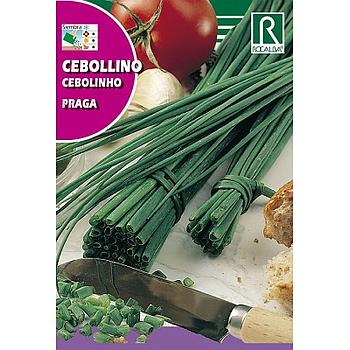 SEMILLA CEBOLLINO ROCALBA 2GR