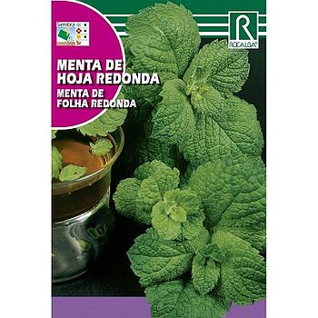 SEMILLA MENTA DE HOJA REDONDA