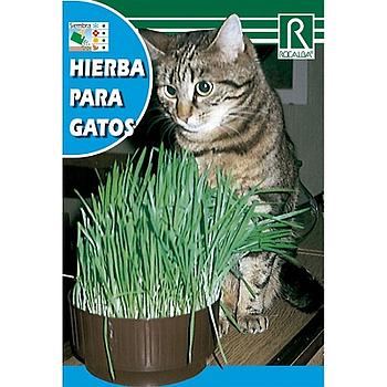 SEMILLA ROCALBA HIERBA PARA GATOS
