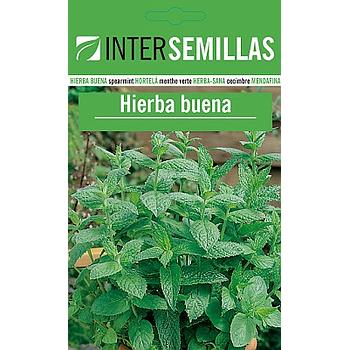 INTER SEMILLA DE HIERBA BUENA