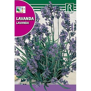 SEMILLA DE LAVANDA ROCALBA