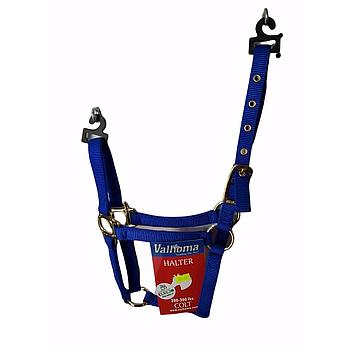 GAMARRON VALHOMA B PARA POTRO AZUL