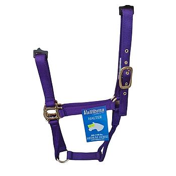 GAMARRON VALHOMA B PARA MEDIANO MORADO