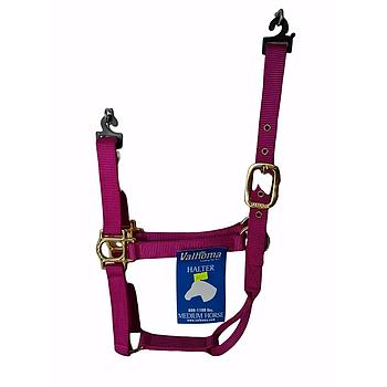 GAMARRON VALHOMA B PARA MEDIANO FRAMBUESA