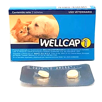 WELLCAP