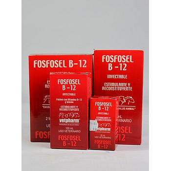 FOSFOSEL B-12 VETPHARM