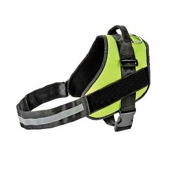 HARNESS PET SAFETY VERDE