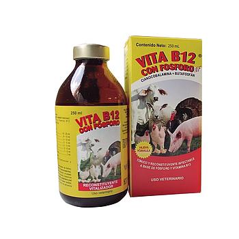 VITA B 12 CON FOSFORO