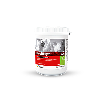 PROBIOLYTE