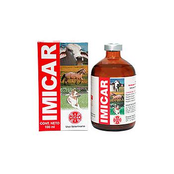 IMICAR