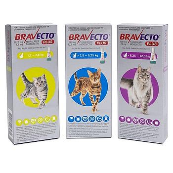 BRAVECTO PLUS GATO 1 PIPETA