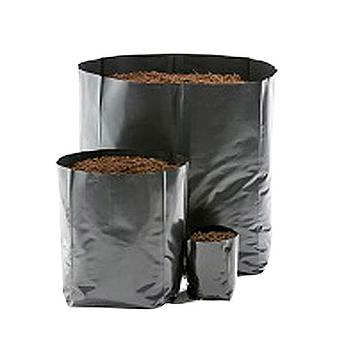 BOLSA DE ALMACIGO CIENTO