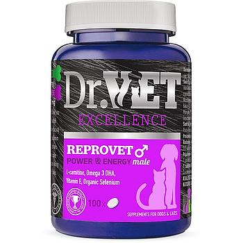 DR VET REPROVET MALE 100 TABLETAS PALATABLES