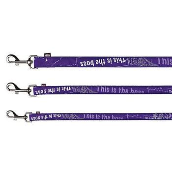 CORREA TRIXIE MODERN MORADO